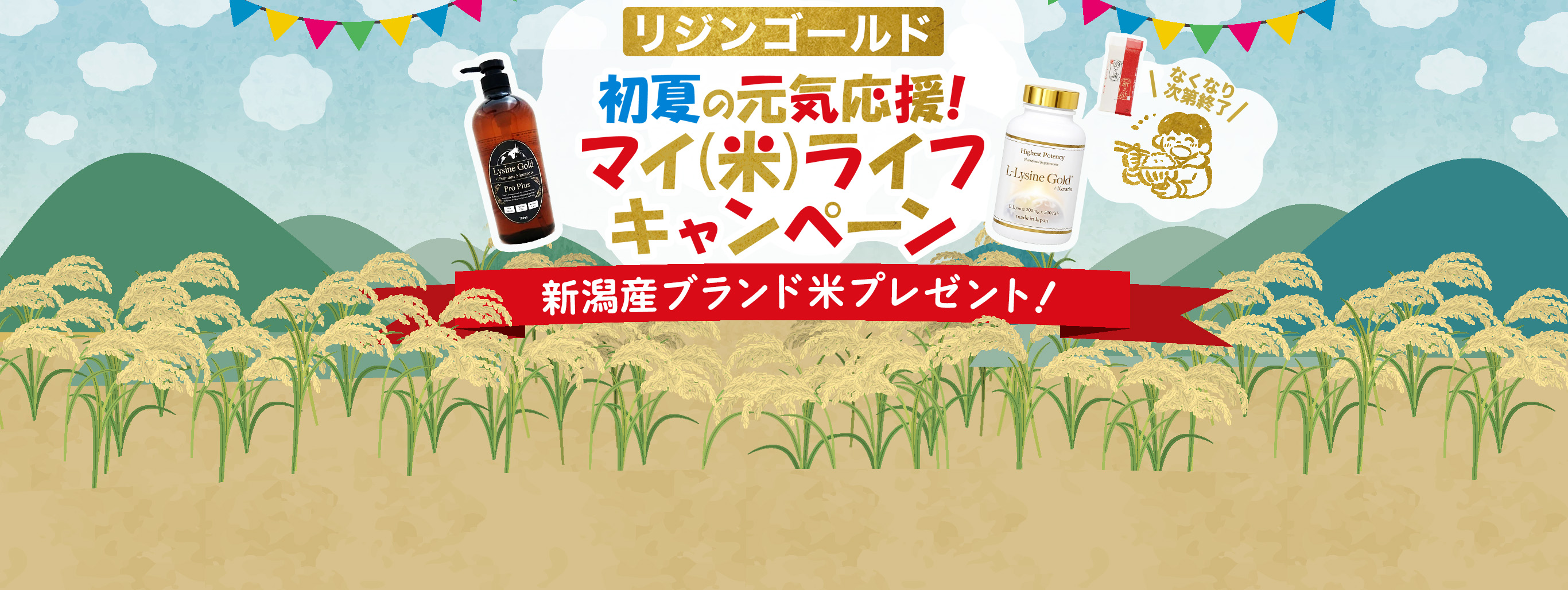 【リジンゴールド　初夏の元気応援！マイ（米）ライフキャンペーン】　ブランド米プレゼント
