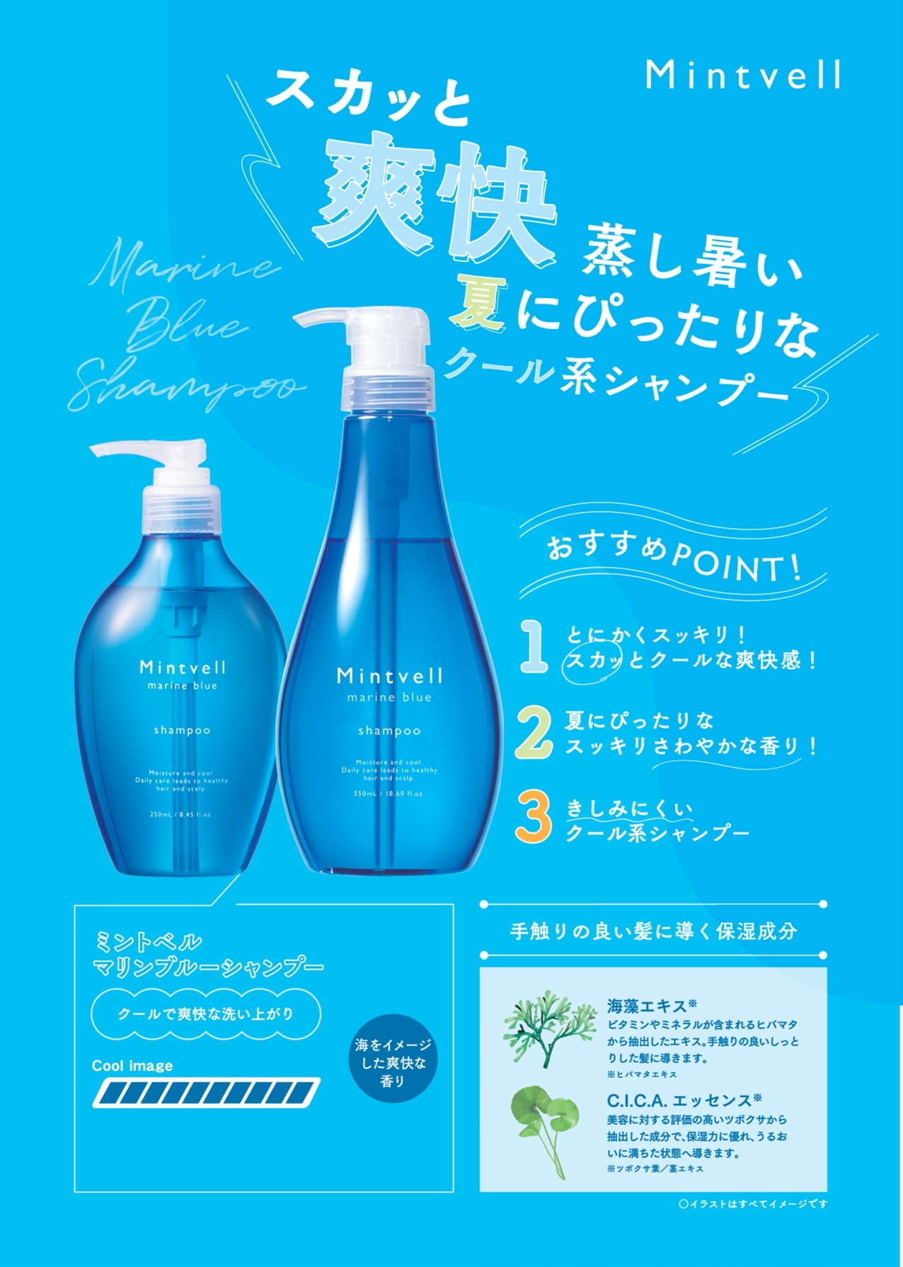ミントベル マリンブルーシャンプー