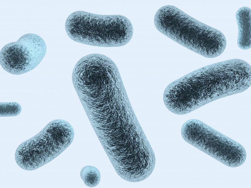 すごく身近で大切な細菌たち「マイクロバイオーム」とは？