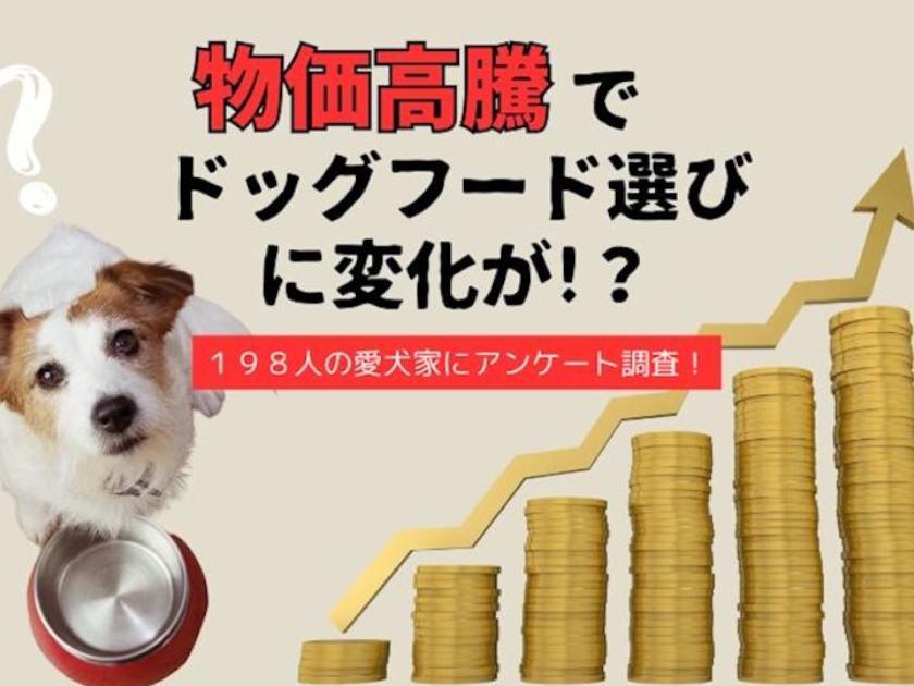 物価高騰で変わる 愛犬家たちのドッグフード選び