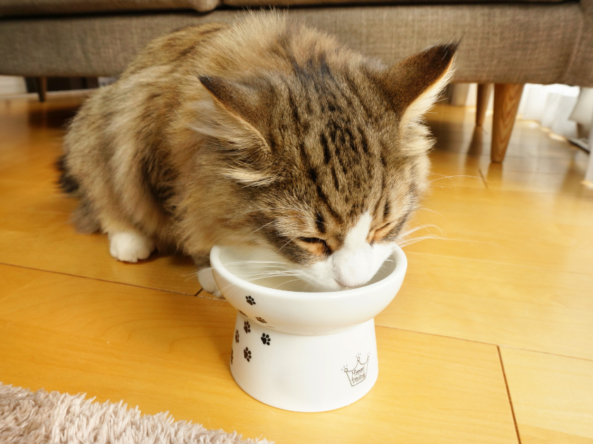 食事のタイミングにも注意