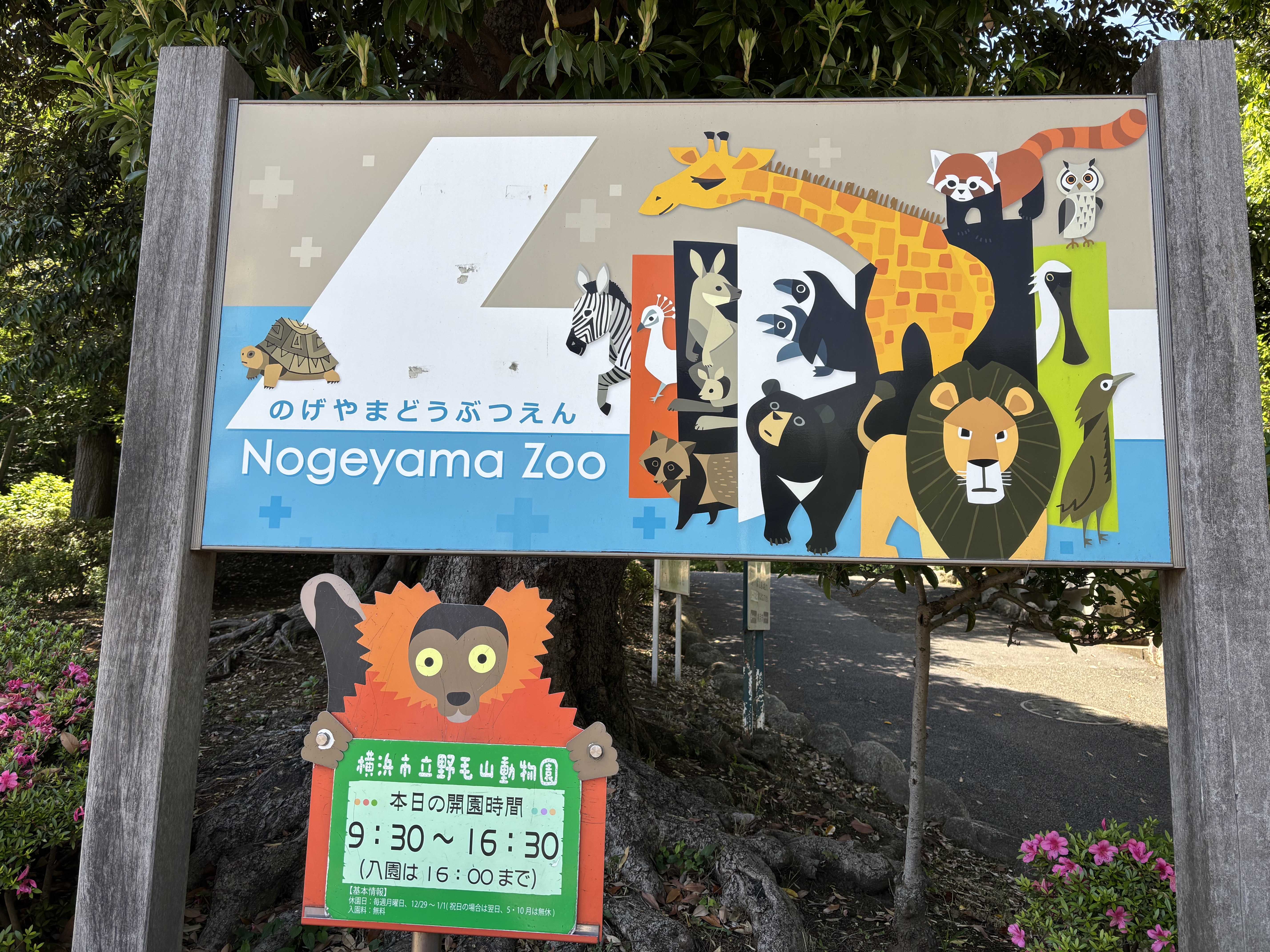 動物園の役割を知ってハッとする