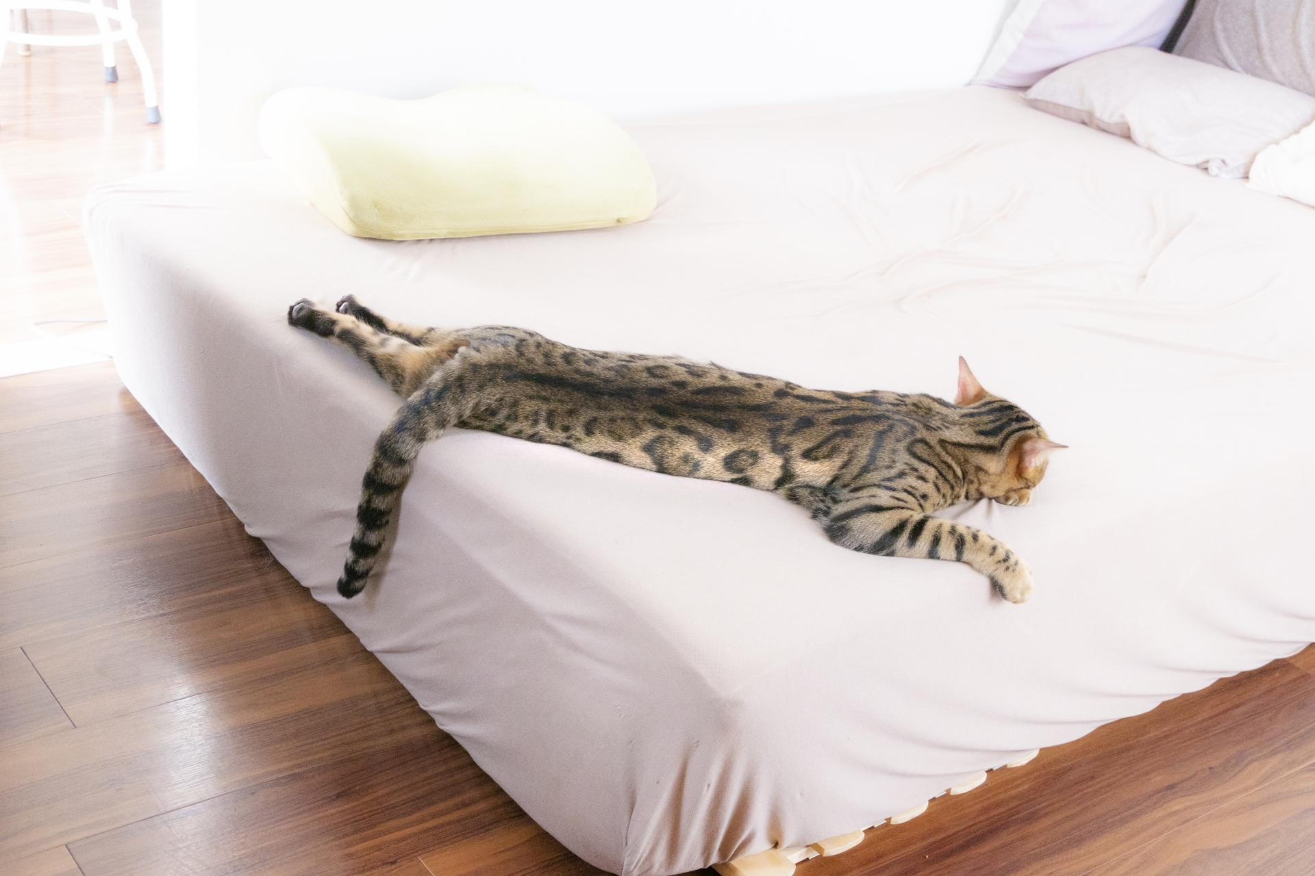 できることから見直しを