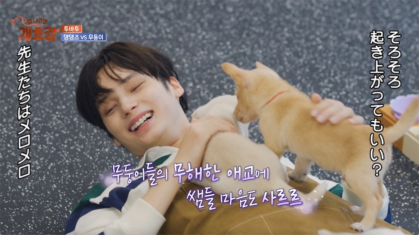 K-POPアイドルたちが犬と触れ合う番組に愛犬家もメロメロ