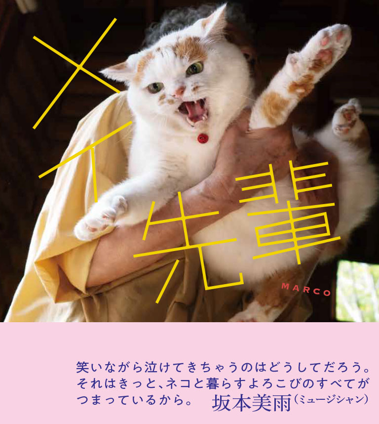 写真集のこだわりについて