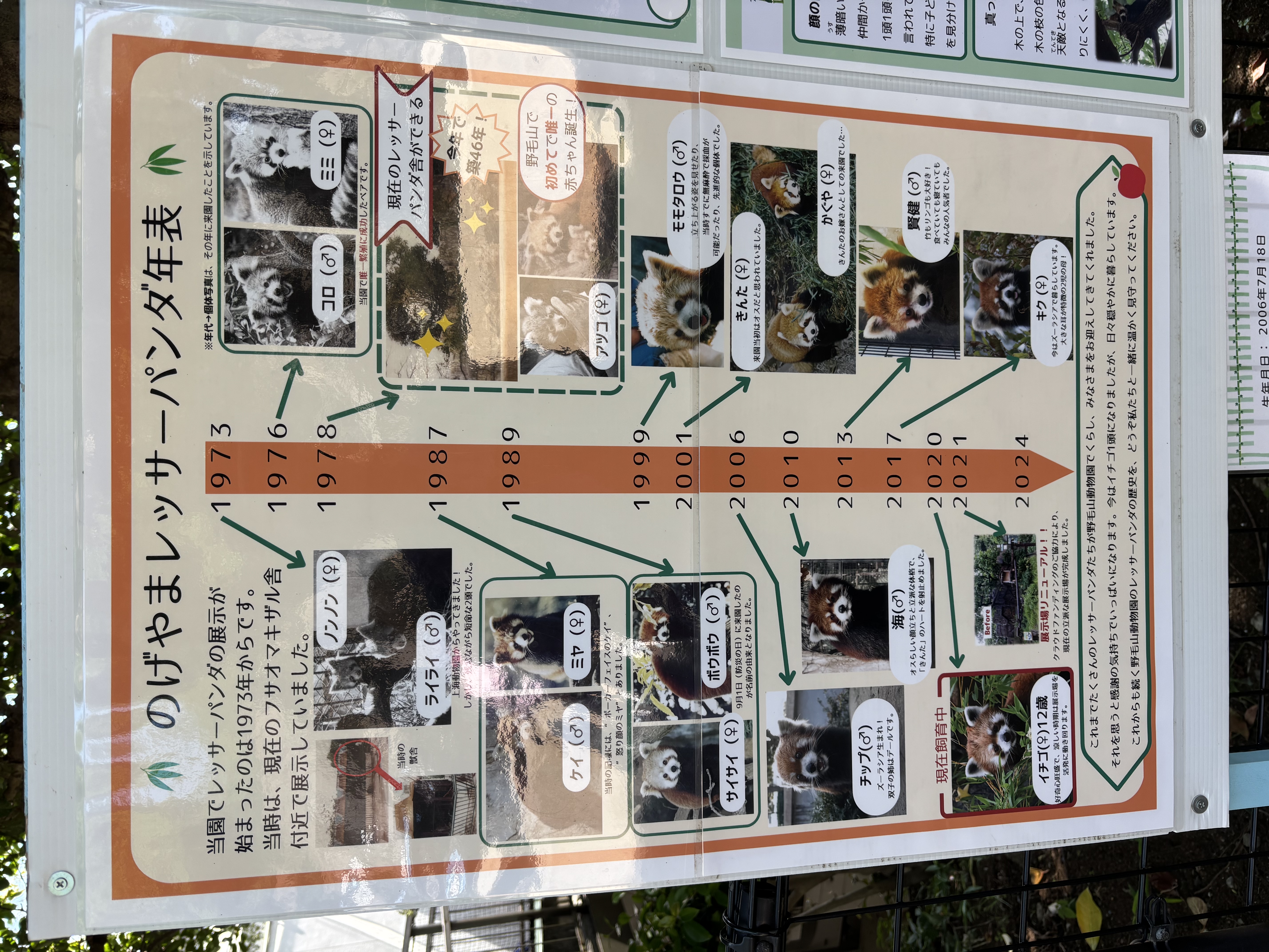 シメは、やっぱりレッサーパンダ