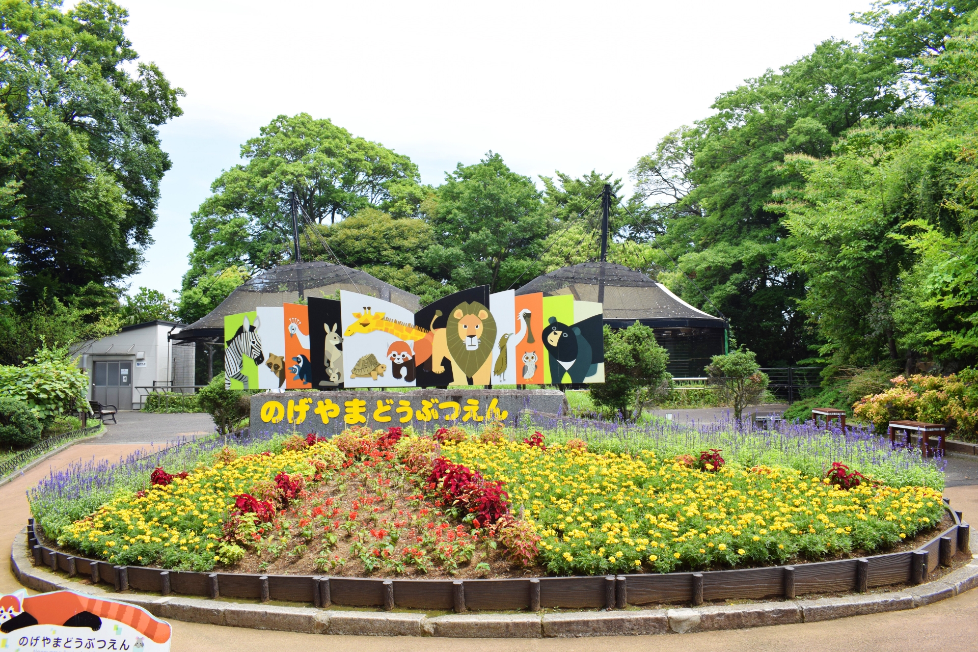 野毛山動物園で「推しアニマル」ミナミコアリクイに出会った話