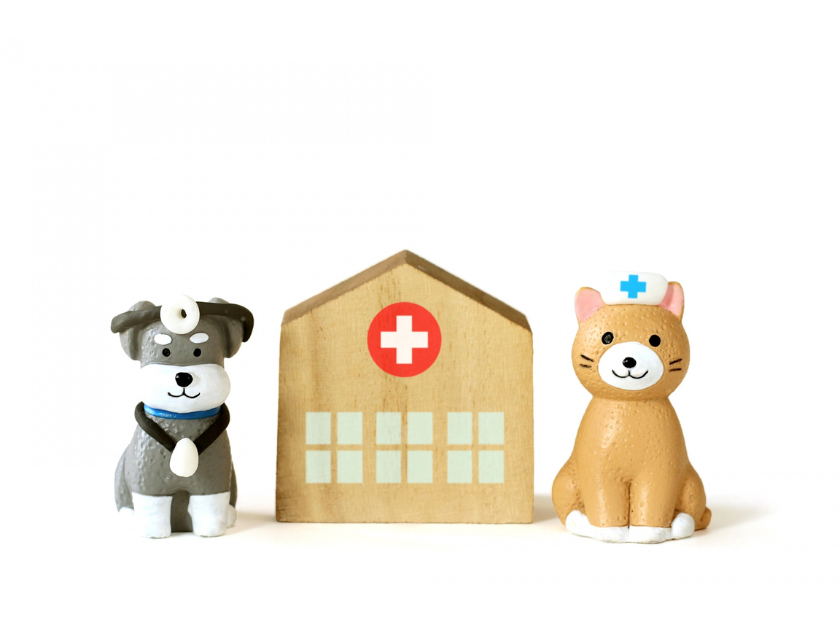 尿の色の異常に気付いたら