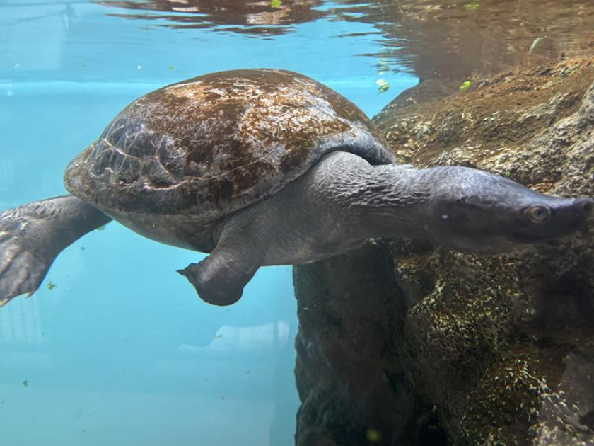 雨の日の動物園