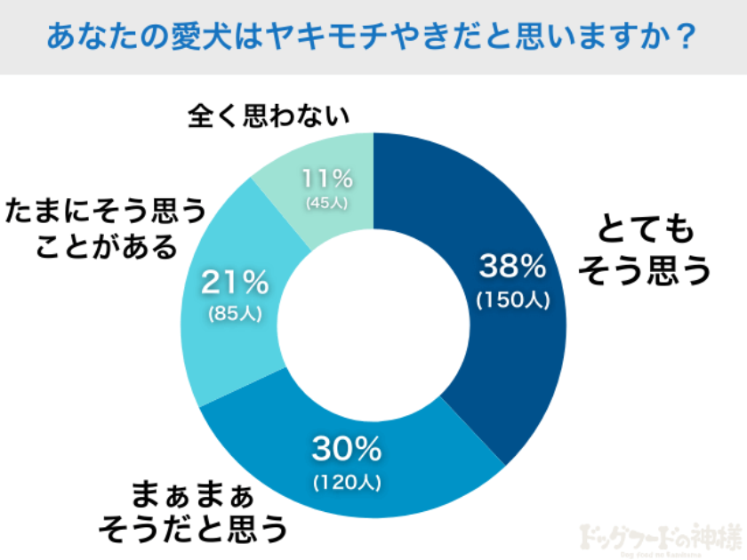 7割の飼い主が「うちの子はヤキモチやき」