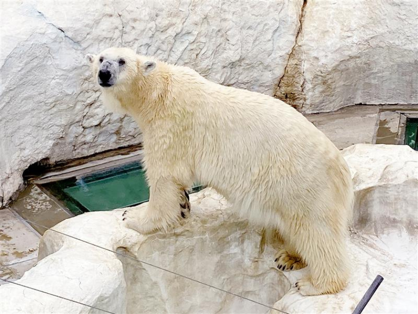 上野動物園の東園の特徴は？
