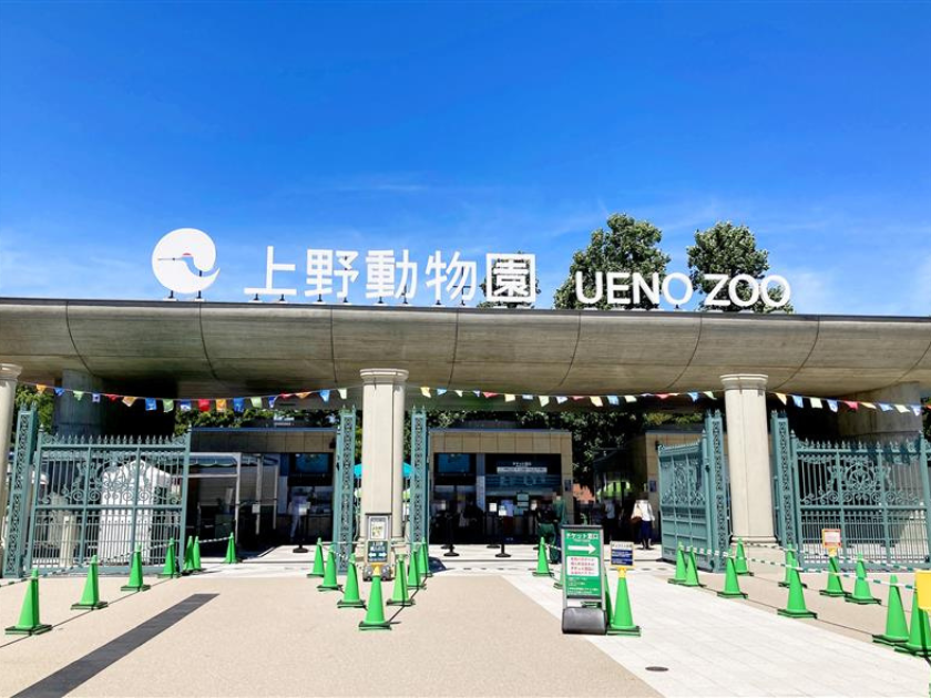 あの動物はどこに？動物園・展示ゾーンの法則