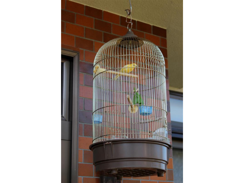 避難所まで移動する際に気をつける事