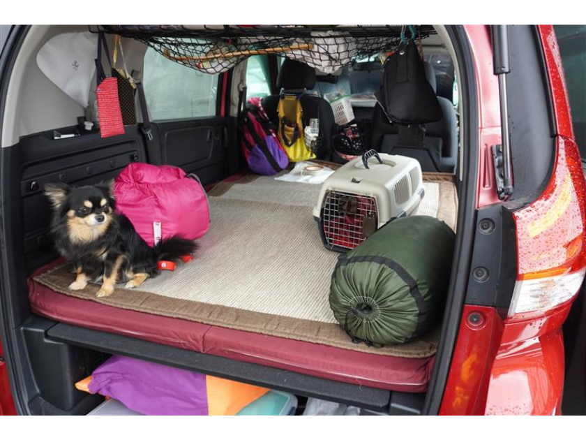 ペットの命を守る防災の備え 飼育する責任は飼い主にあり