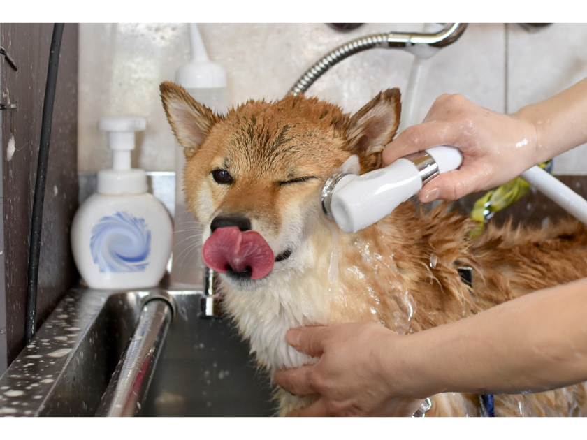 おうちでできる！乾燥対策ケア