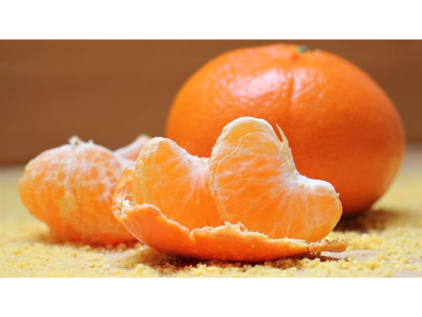 犬の認知症に希望の兆し　ミカンの皮の成分が緩和効果に着目