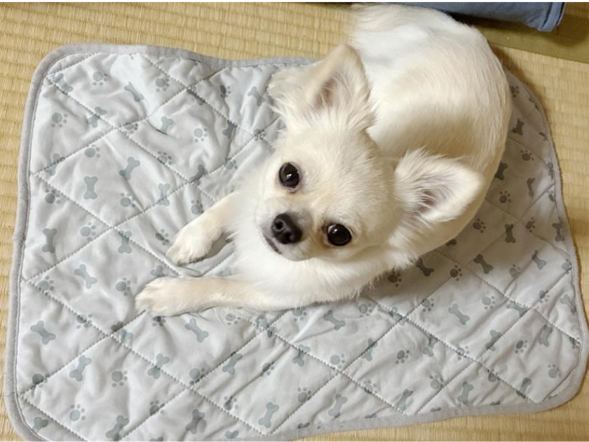 環境を整える“選択肢”としてのケアグッズ