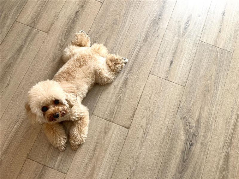 何より大事な寒さ対策