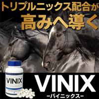 VINIX(バイニックス)120錠