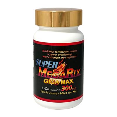 Super MegaRix GIGAMAX（スーパーメガリクス ギガマックス）