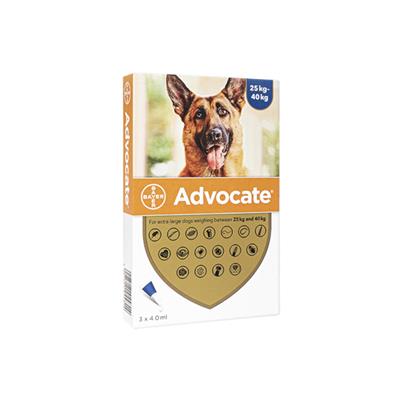 アドボケート 犬用