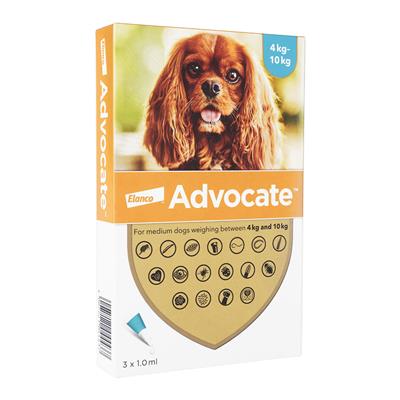 アドボケート 犬用