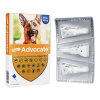 アドボケート 犬用