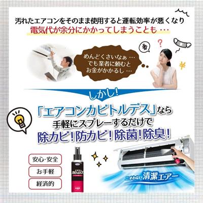 エアコンカビトルデス 100mL