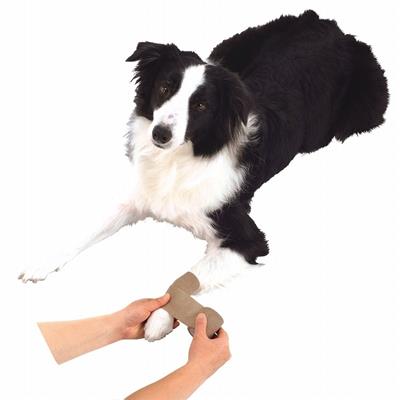 [ペティオ] zuttone ずっとね 老犬介護用 巻くだけ伸縮包帯