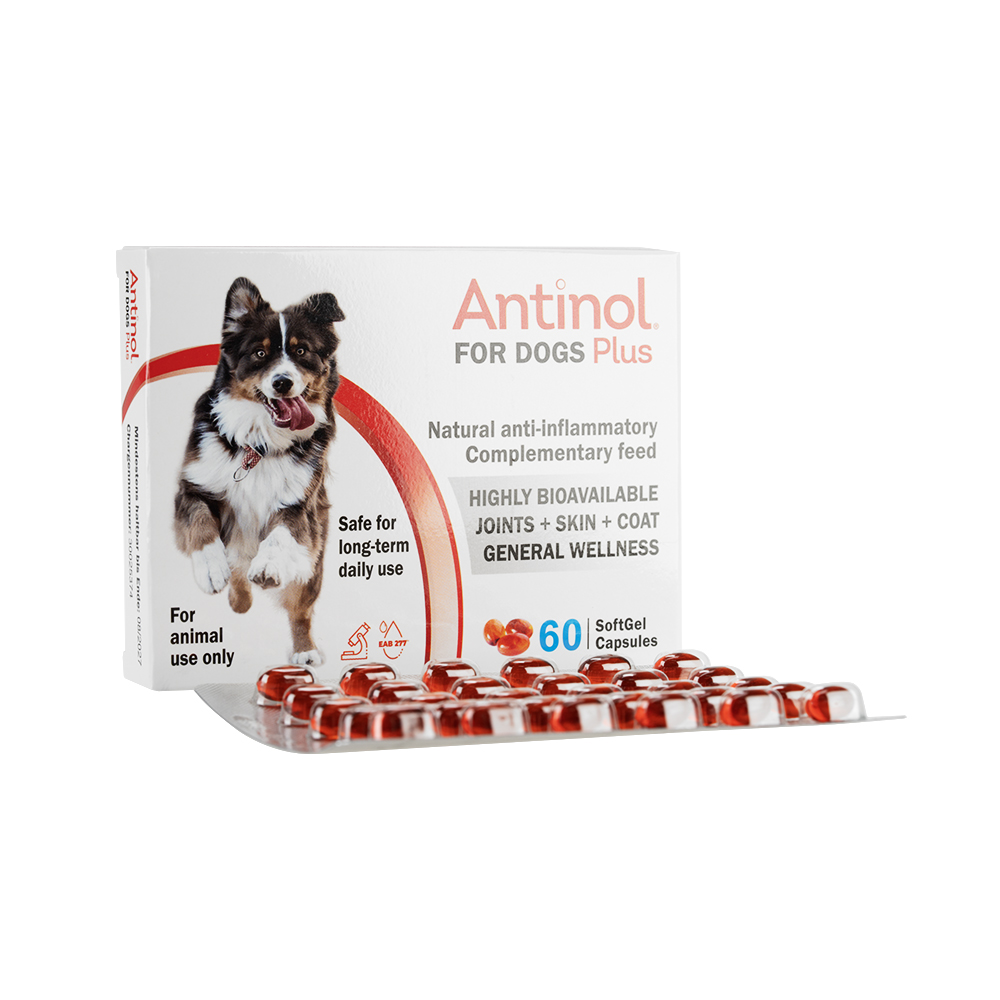 Pharmalink)アンチノールプラス犬用通販 | アイドラッグストアー