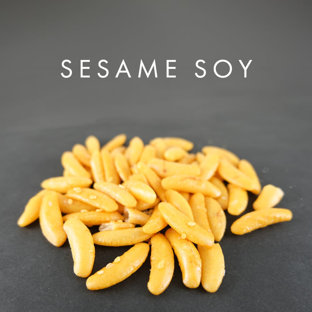 KARI KARI(カリカリ) ~柿の種~