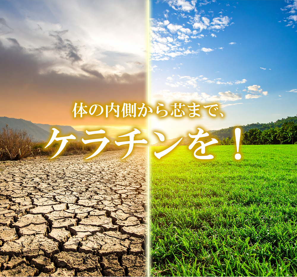 L-リジンゴールド＋ケラチン