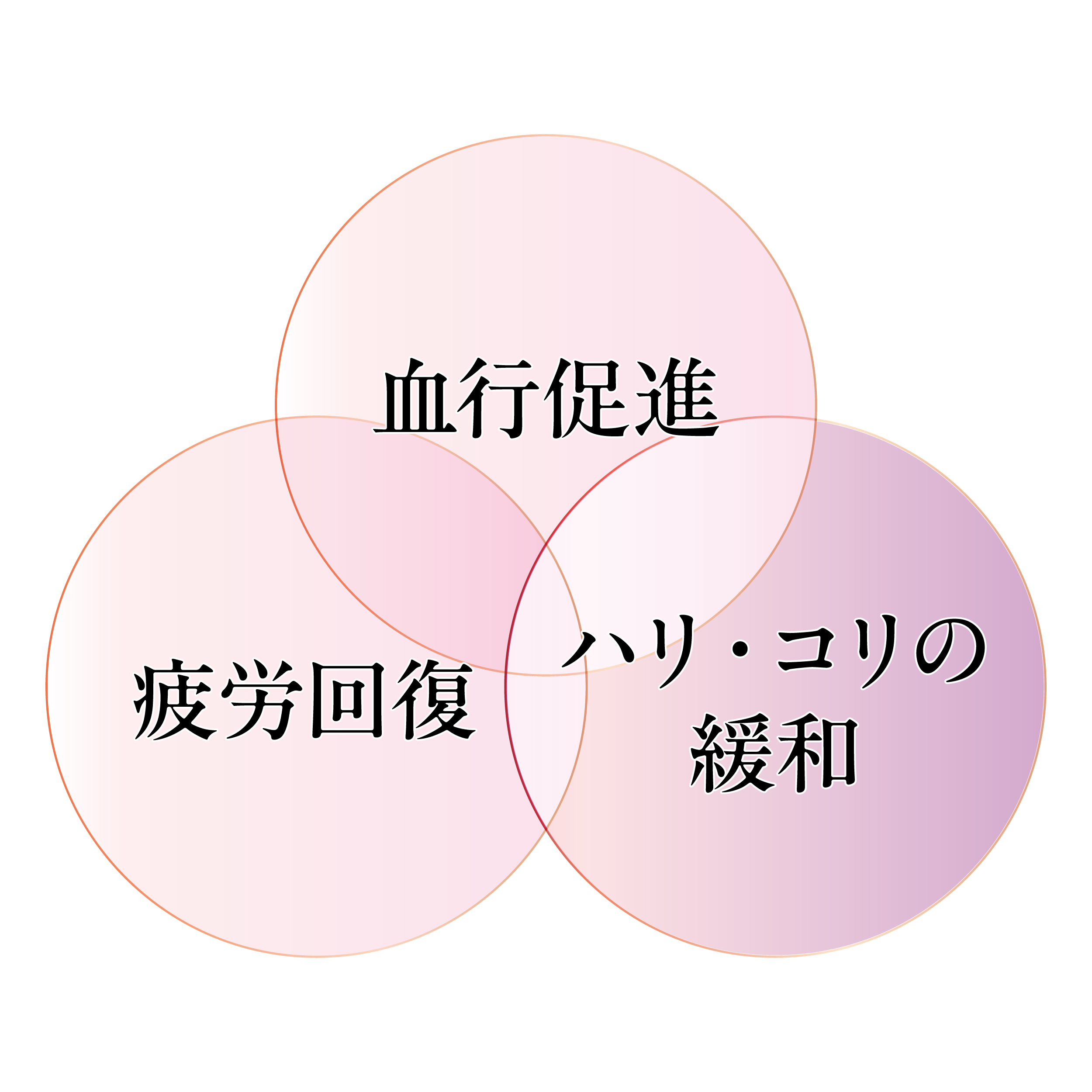 セルヴァン リカバリーケア メンズ 上下セット(半袖シャツ+7分丈パンツ)