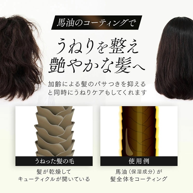 プロシア 馬油カラーシャンプー