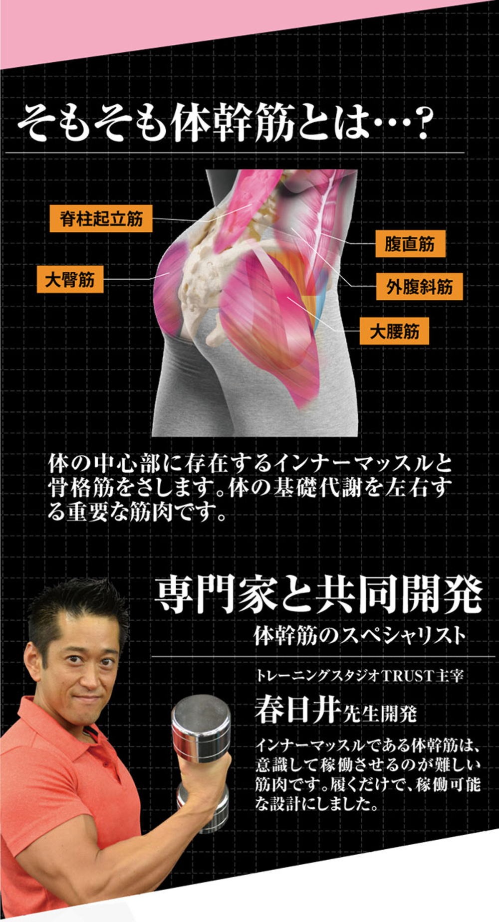 体幹筋エクササイズインソール ツインボール