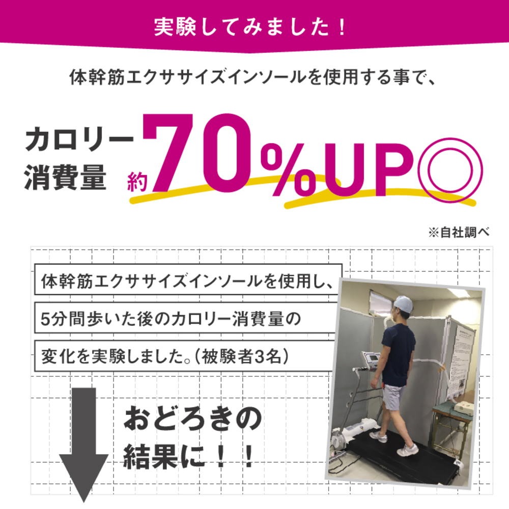 体幹筋エクササイズインソール ツインボール